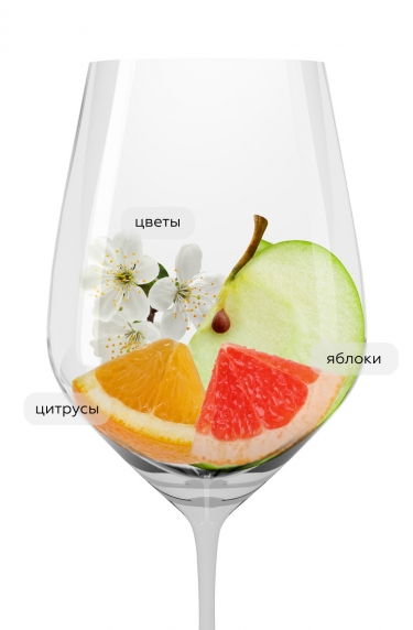 Просекко Брют, Новапальма23138