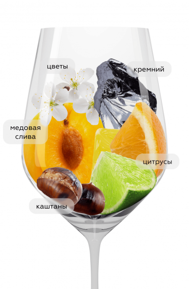 Фиано Дон Кишотте, Пьерлуиджи Дзампальоне23151