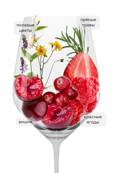 Россо ди Монтальчино, Ле Потаццине23183