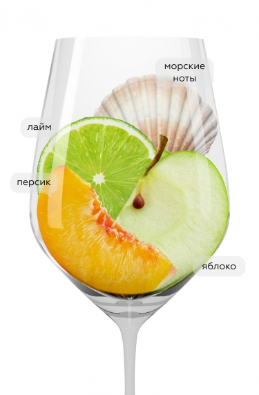 Понтейон Альбариньо, Бодегас Орасио Гомес Араухо23204