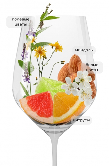 Петрикор Алиготе, Шумринка23329