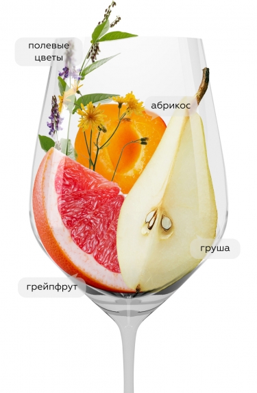 Семисам Шардоне, Шумринка23341