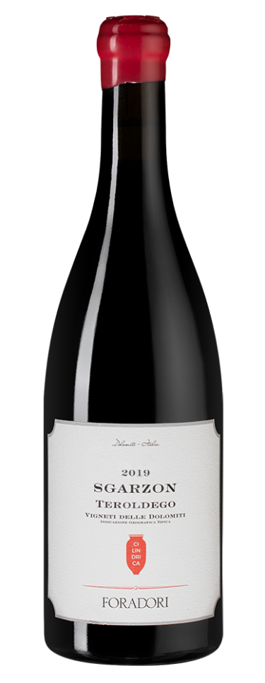 Сгарцон Чилиндрика, Форадори23384