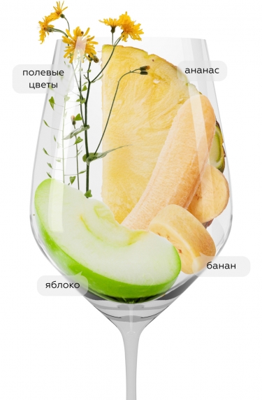 Приара Пино Гриджо, Прадио23447