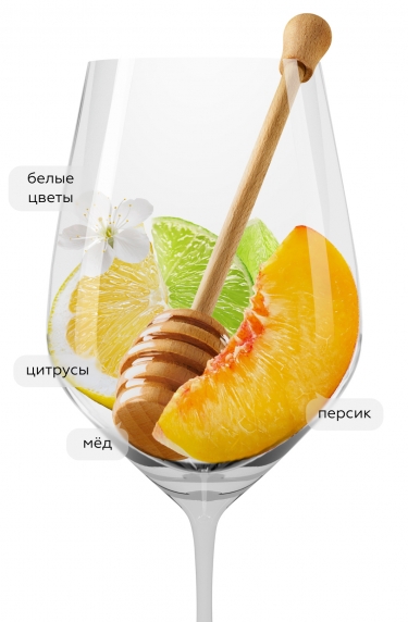 Гави, Оттосольди23646