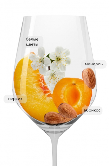 Соландия Грилло-Шардоне, ГИВ23690