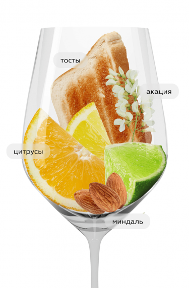 Кюве де Витмер, Золотая Балка23848