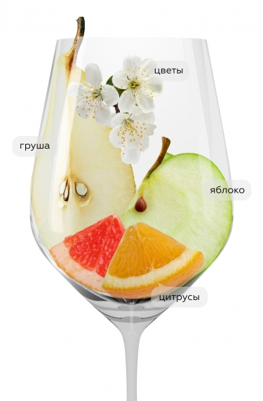 Ханс Баер Рислинг, Вайнкеллерай Хехтсхайм24011