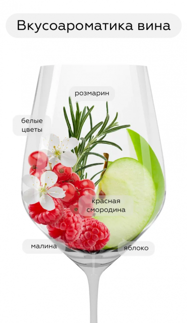 Просекко Арджео Розе Брют Миллезимато, Руджери24042