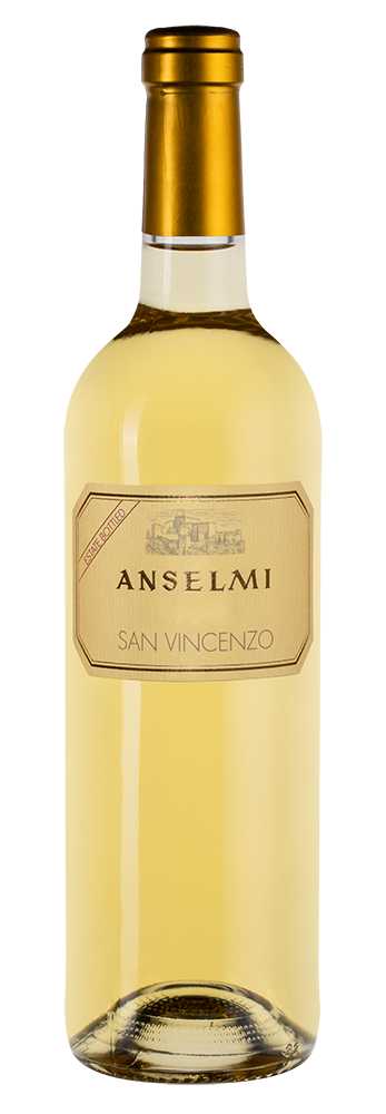 Сан Винченцо, Роберто Ансельми24048