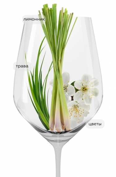 Соллуи, Ла Сколька24162