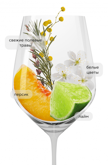 Рейнгау Рислинг Трокен, Роберт Вайль24295