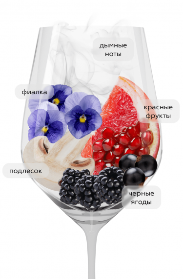 Барбера д'Альба Тре Винье, Вьетти24363