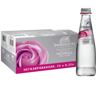 Сан Бенедетто (негазированная), Сан Бенедетто24430