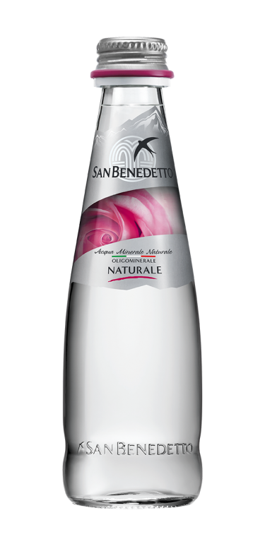Сан Бенедетто (негазированная), Сан Бенедетто24428