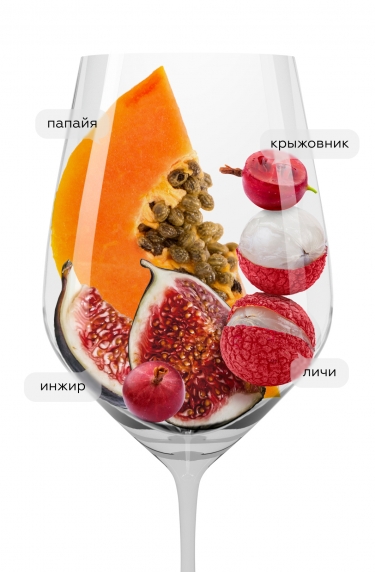 Ле Гран Нуар Совиньон Блан, Ле Гран Нуар24717