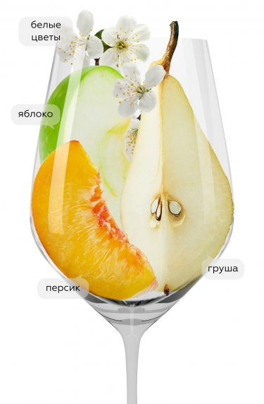 Кава Кастель Льорд, Кастель Льорд25016