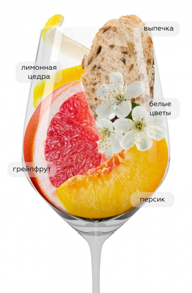 Бургонь Шардоне Ла Винье, Бушар Пэр э Фис25083