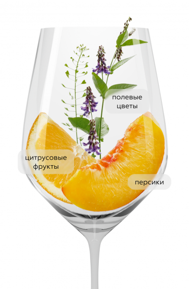 Макон-Вилляж, Жозеф Друэн25167