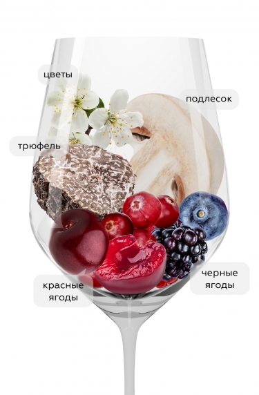 Пунта ди Адине, Бертинга25283