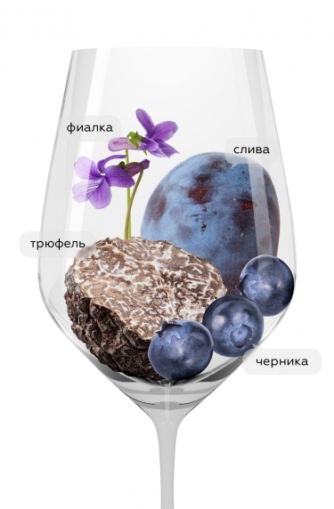 Вольта ди Бертинга, Бертинга25243