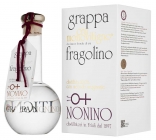 Крю Моновитиньо Фраголино, Нонино