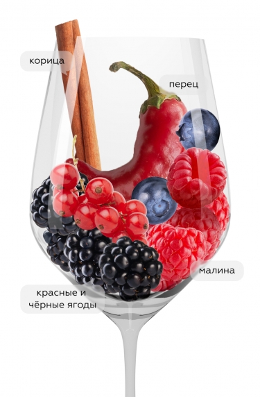 Пино Нуар Селлар Селекшн, Силени25280