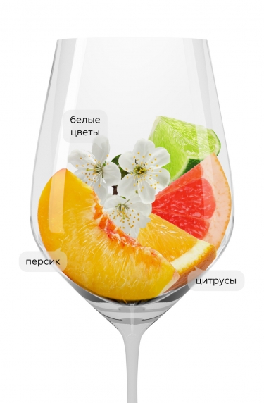 Балуарте Мускат, Бодегас Чивите25415