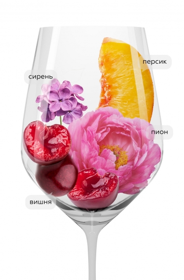 Шенас Кварц, Домен Доминик Пирон25599