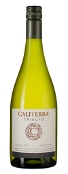 Совиньон Блан Трибуто, Калитерра26104