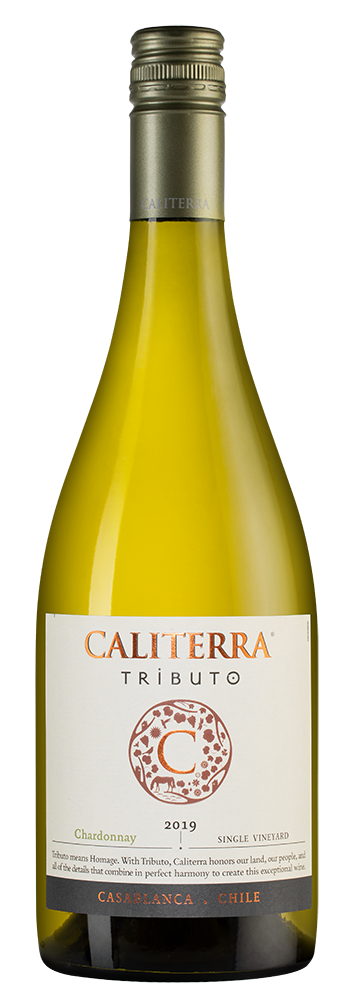 Шардоне Трибуто, Калитерра26480