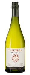 Вино Chardonnay Tributo, Caliterra, 2018&nbsp;г.2241