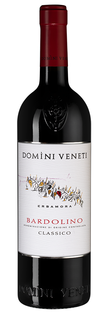 Вино Bardolino Classico, Domini Veneti, 2019&nbsp;г.2948