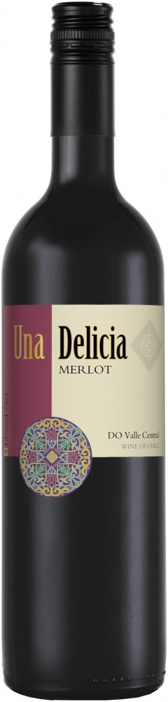 Вино Vinedos Puertas, "Una Delicia" Merlot, Valley Central DO, 2017, 0.75 л3905