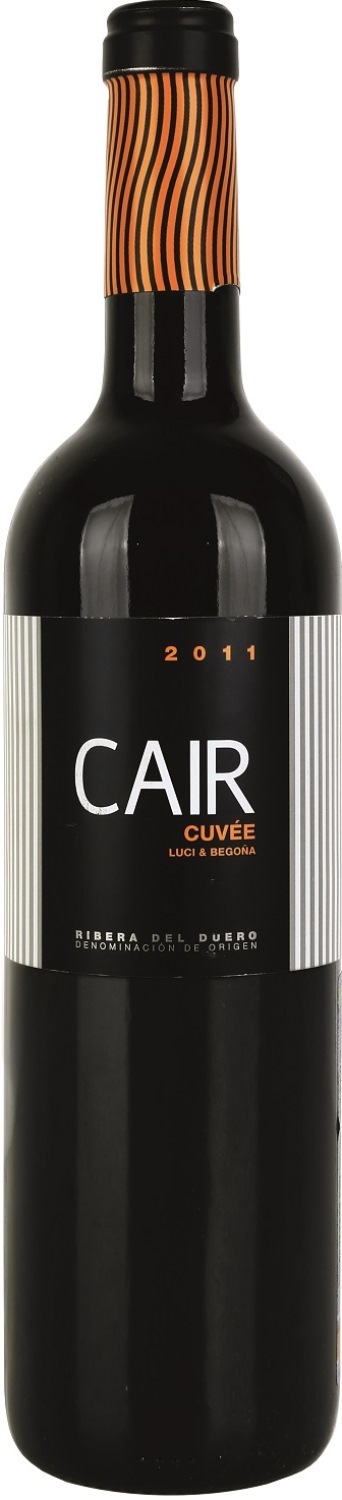 Вино "Cair" Cuvee Luci & Begona Ribera del Duero, 0.75л4846