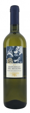 Bianchello del Metauro, DOC Marche5066