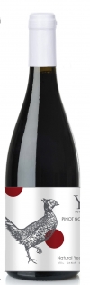 YAIYLA PINOT NOIR5222