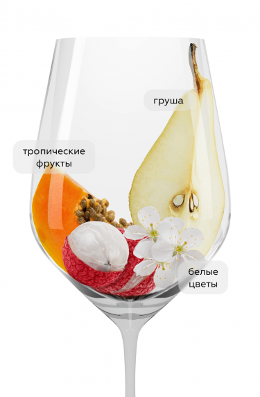 Пино Гриджо, Домини Венети18309