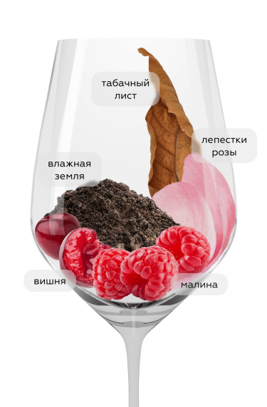 Макс Ресерва Пино Нуар, Эрразурис18326