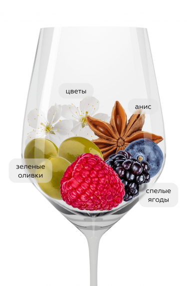 Монтессу, Агрикола Пуника18465