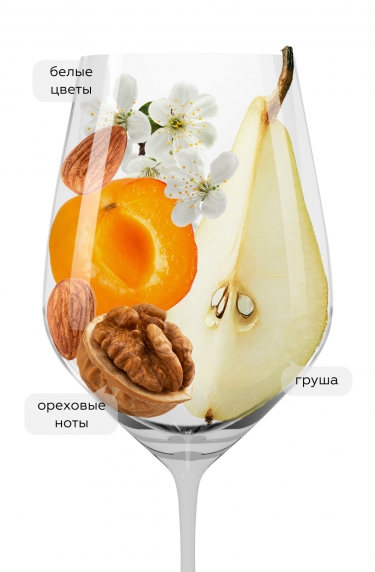 Роэро Арнеис, Тибальди18481