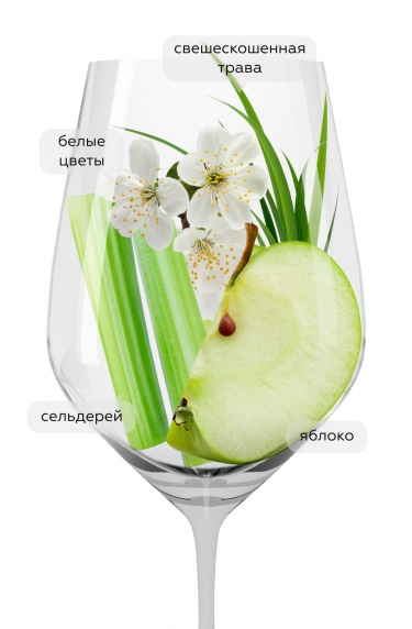 Совиньон Блан, Пио Чезаре18544