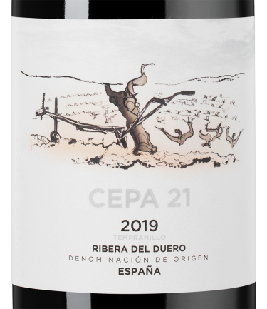 Сепа 21, Бодегас Сепа 2118561