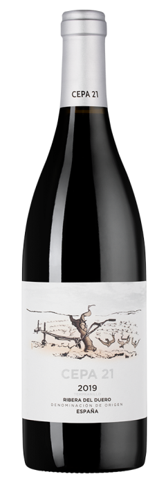 Сепа 21, Бодегас Сепа 21