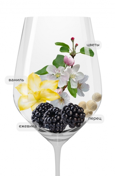 Иль Бруно дей Веспа, Веспа18674