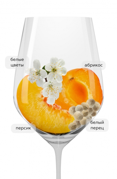 Греко ди Туфо, Феуди ди Сан Грегорио10087