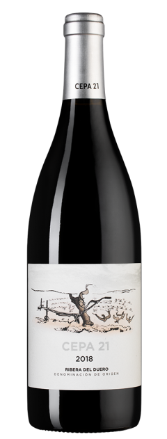 Сепа 21, Бодегас Сепа 21